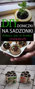 DIY Doniczki na Sadzonki – Zobacz Jak Je Zrobić