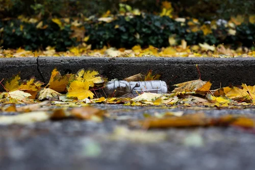 Chcesz być eko? To bądź i nie narzucaj tego innym!