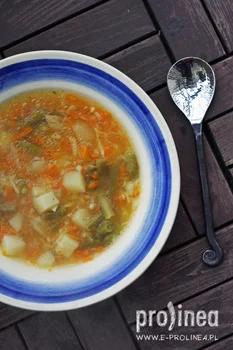 zupa jarzynowa