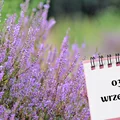 Kartka z kalendarza: 3 września - imieniny, gwiazdy, nietypowe święta! Odkryj sekrety tego dnia!