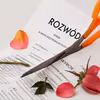 Zdrada nie oznacza utraty połowy majątku. Tego wiele osób nie wie przy rozwodzie