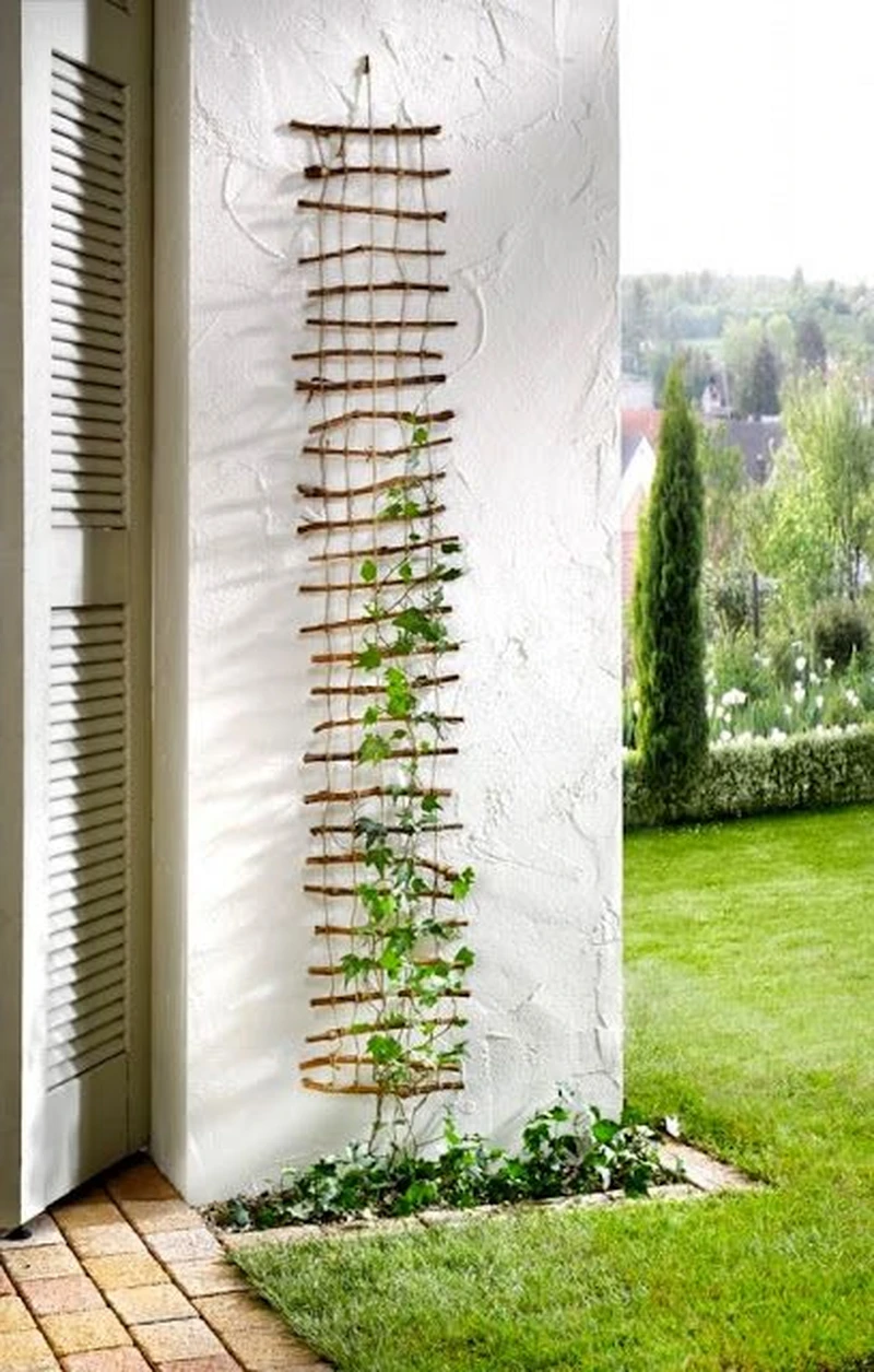 Drabinka na bluszcz- DIY