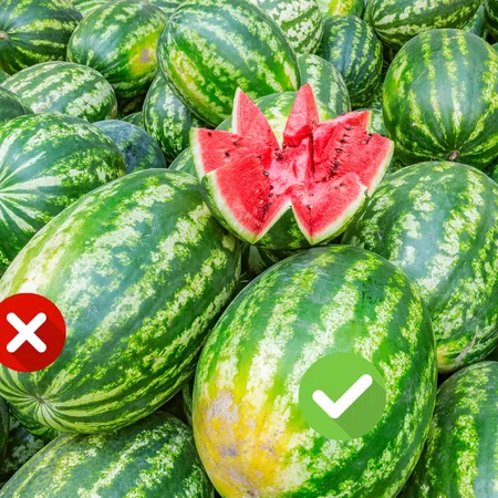 Jak wybrać słodkiego arbuza? 5 wskazówek, którymi należy się kierować.