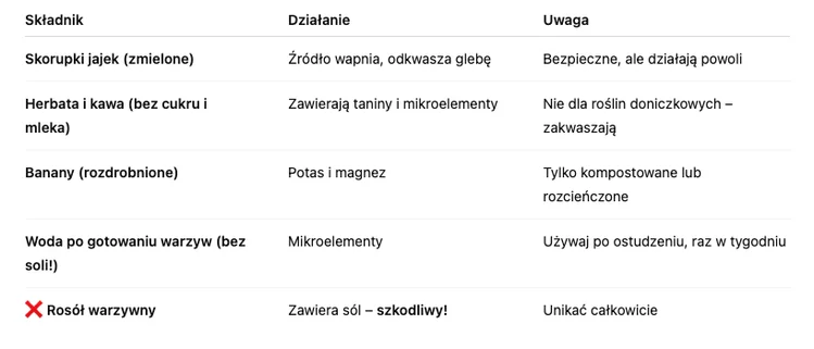 Zdjęcie Dodaj TEN jeden składnik, a Twoje chryzantemy będą kwitły znacznie dłużej! #1