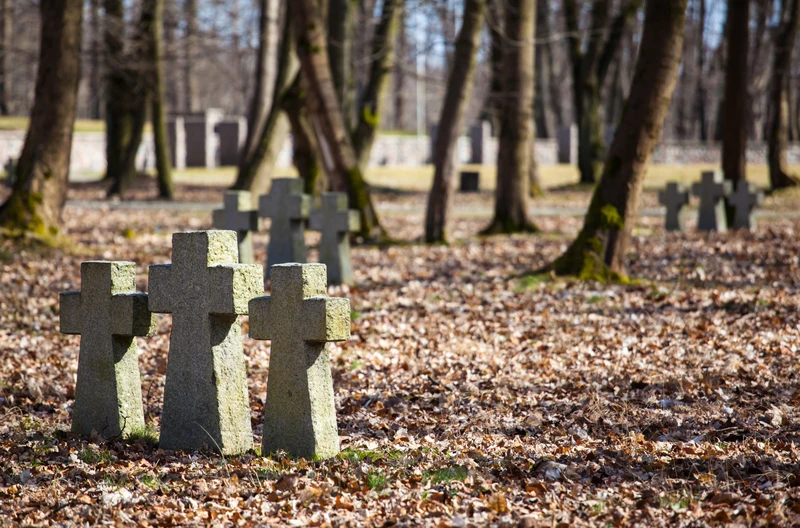 Międzynarodowy Dzień Kombatanta: Honorując Bohaterów, Którzy Walczyli za Naszą Wolność