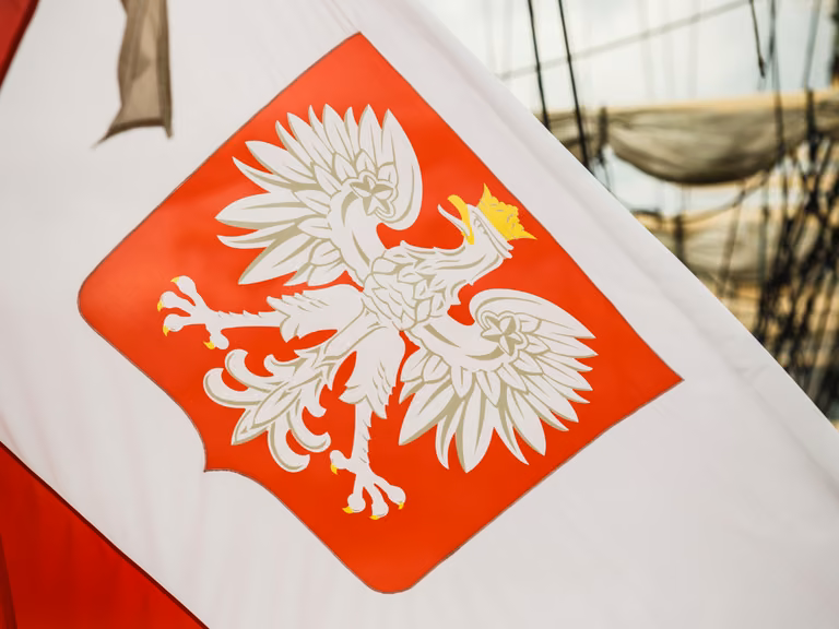 Orzeł z koroną i krzyżem? Czy czeka nas nowe godło Polski?