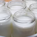 Jak zrobić domowy jogurt?