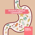Wystarczą dwa składniki, aby oczyścić organizm z pasożytów!