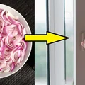 Wystaw pokrojoną cebulę za okno! Uciążliwy problem zniknie