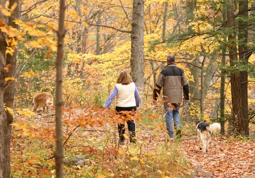 Ostatni dzwonek na zaległy urlop! Co grozi pracodawcy po 30 września?