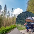 Kobieta w masce konia ciągnie bryczkę! Niecodzienne sceny w drodze do Morskiego Oka w Tatrach!