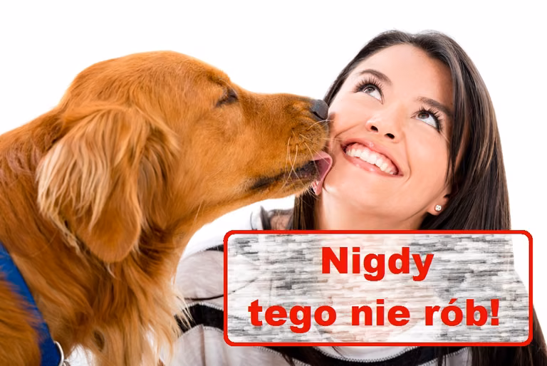 Czy powinniśmy CAŁOWAĆ swojego PSA?
