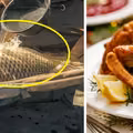 Karp – poznaj kilka faktów, które zaskoczą każdego!