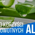 10 najlepszych korzyści z aloesu