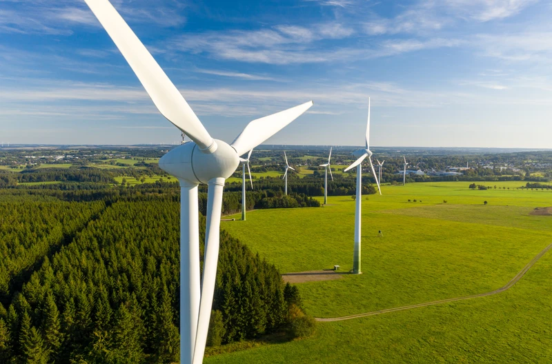 Dzień Wiatru: Święto Energii Odnawialnej i Świadomości Klimatycznej