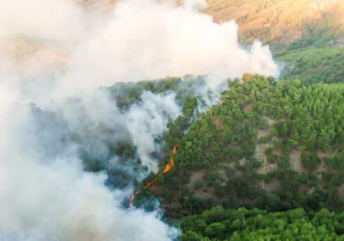 Walka z pożarami na wyspie Kos! Ewakuowano 362 polskich turystów!