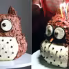 tort sowa