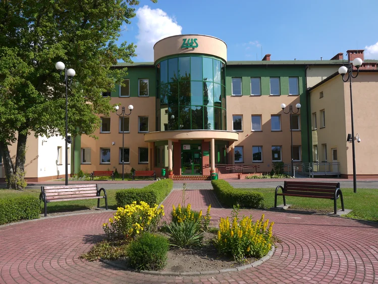 Zdjęcie Nawet 30 tys. zł odszkodowania z ZUS za popularne schorzenia! Lista dolegliwości jest długa #1