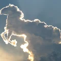Napoje energetyczne NAJZDROWSZE