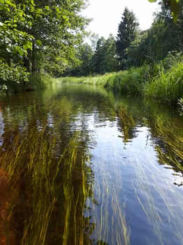 Suwalszczyzna - fotorelacja z podróży