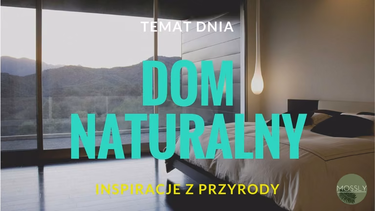 Tęsknisz za naturą? Zobacz jak łatwo możesz wprowadzić ją do swojego domu!