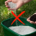5 błędów przy nawożeniu trawnika, które niszczą twoją murawę!