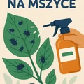 Opryski przeciw mszycom – domowe i gotowe preparaty