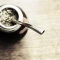 Yerba mate - co to i po co?