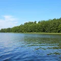 30 osób zatrutych nad jeziorem! Sanepid ustalił przyczynę!