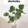 DIY Stojak pod doniczkę