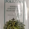 Ostrzeżenie publiczne: Niebezpieczne alkaloidy w herbatce ziołowej z pokrzywy