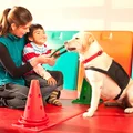 Ogólnopolski Dzień Dogoterapii: Rola Psów Terapeutycznych w Rehabilitacji