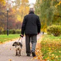 Cyfrowa rewolucja dla zwierząt? Rząd wprowadza PESEL dla psów i kotów!