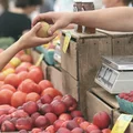 Polski Dzień Sprzedaży Bezpośredniej: Jak Polska Przemienia Swoją Gospodarkę