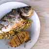 Dorada pieczona w folii podana z ziemniakami hasselback
