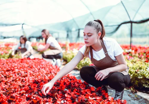 14-latkowie pójdą do pracy i zarobią jak dorośli!? Ten kraj zmienia przepisy!