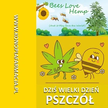 Wielki dzień pszczół