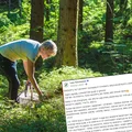 „Zjedz jagodę, a dostaniesz guza w głowie”.  Lasy Państwowe opublikowały komunikat z ostrzeżeniem!