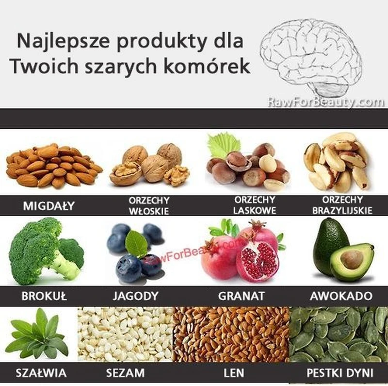 NAJLEPSZE PRODUKTY DLA TWOJEGO MÓZGU