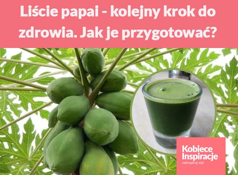 Liście papai - kolejny krok do zdrowia. Jak je przygotować?