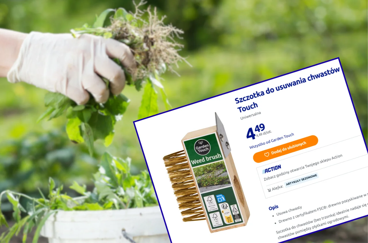 Ta szczotka z Action za 4 zł to wiosenny hit klientów! Chwasty nie mają szans - łatwe i przyjemne czyszczenie chodnika i kostki
