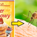 Cukier wanilinowy odstrasza komary! Sprawdź, jak go stosować