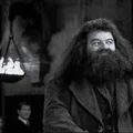 Aktor znany z  filmów o Harrym Potterze nie żyje!