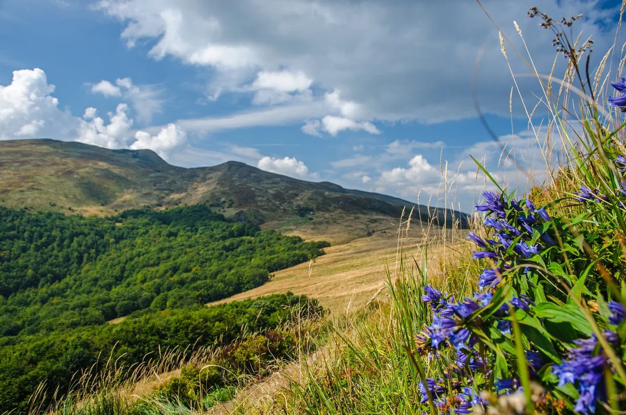 Europejski Dzień Parków Narodowych: Ochrona Przyrody i Zrównoważony Rozwój