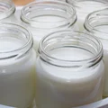Jak zrobić domowy jogurt?