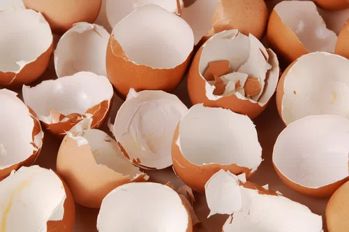 Jak szybko i sprawnie obrać dużą ilość jajek?