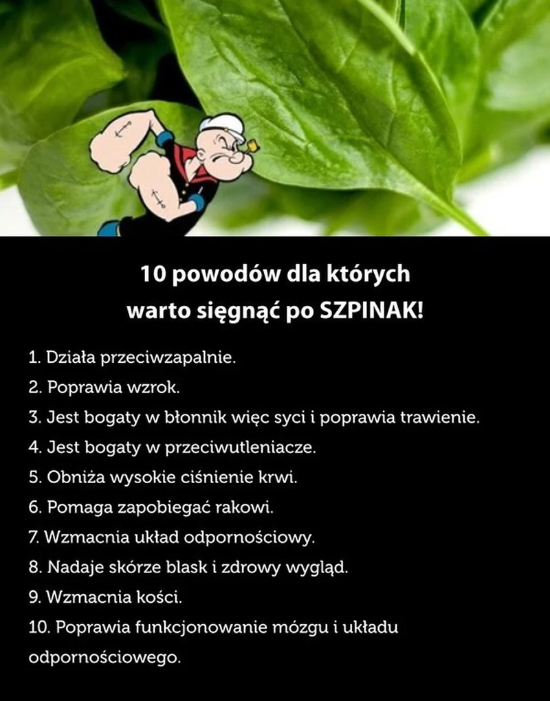 10 powodów dla których warto sięgnąć po SZPINAK!