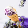 Lody Z Mascarpone Z Czarną Porzeczką