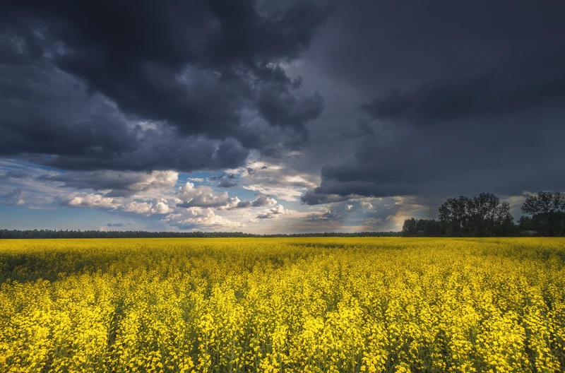 Planujesz wyjazd na długi weekend? Oto, co mówi prognoza pogody!