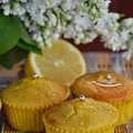 Muffinki cytrynowe